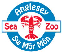 Anglesey Sea Zoo's logo