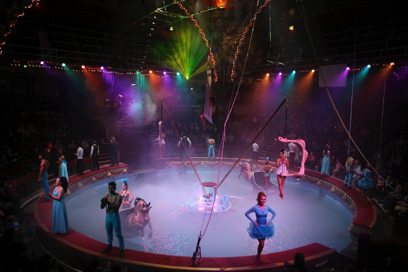Performance at Blackpool Tower Circus 