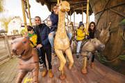Kids interacting with Chessington World of Adventures tigers