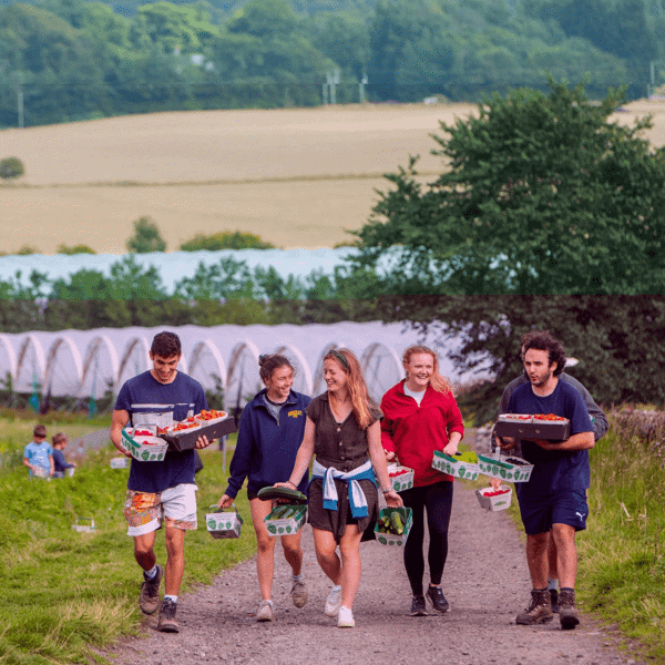 Craigie’s Farm featured image.