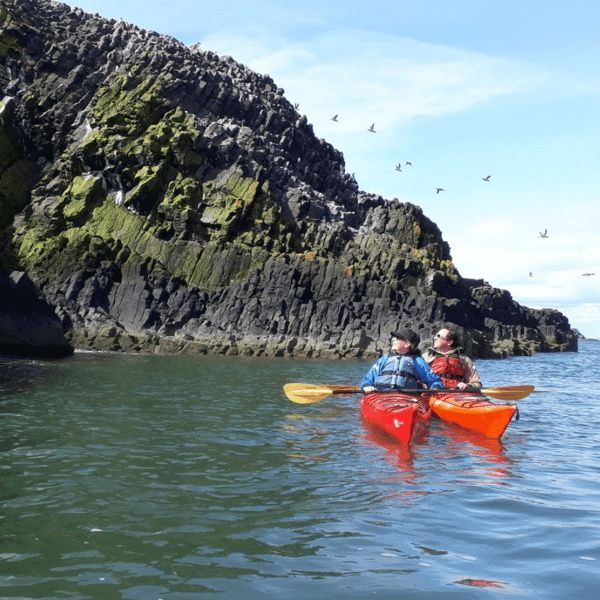 Dun Eideann Sea Kayaking featured image.