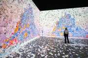 Person touches art in immersive art room at Frameless