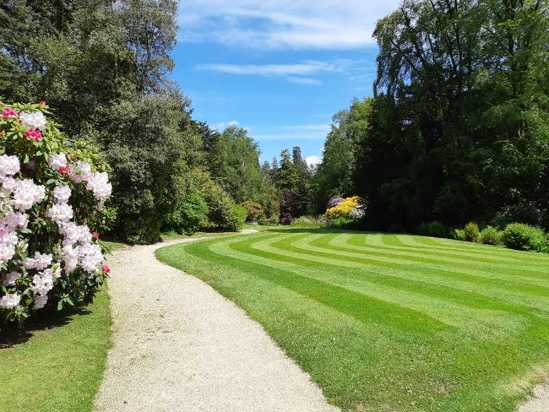 Patch of grass at Hillsborough Castle Gardens 