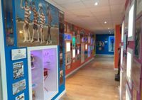 Blue painted wall covered with pictures down hallway at Liverpool Beatles Museum