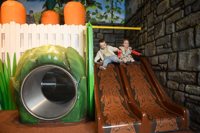 Children playing at Peter Rabbit Explore and Play 