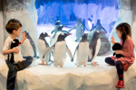 Two young children look at Gentoo penguins at Penguin Ice Adventure in Sea Life Birmingham