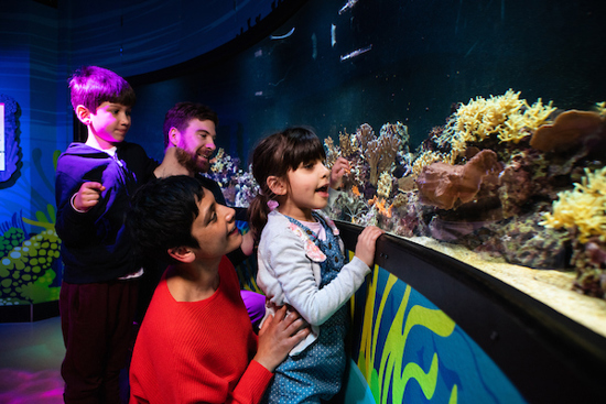 Family enjoying coral kingdom at Sea Life London
