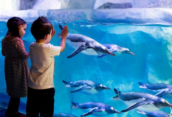 Children enjoying Polar Adventure at SEA LIFE London