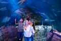 Family enjoying Ocean Tunnel at SEA LIFE Manchester