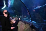 Young family excited at SEALIFE Manchester