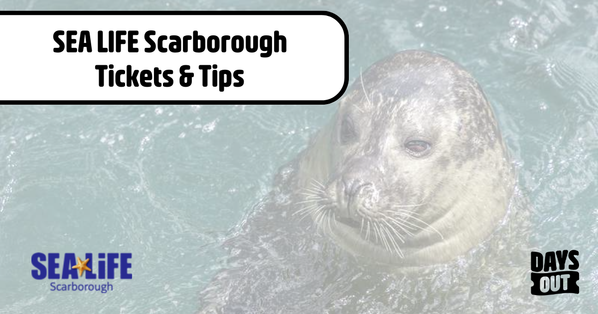 SEA LIFE Scarborough Tickets | Save up to 18% | Days Out