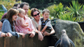 Family enjoying Fairy Penguin Island at SEALIFE Weymouth