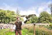 Warwick Castle eagles flying
