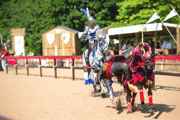 Warwick Castle horse play