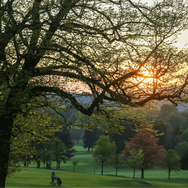 Bruntsfield Links featured image.