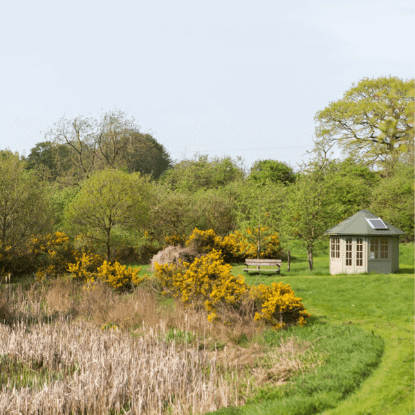 Crag House Farm featured image.