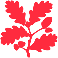 Dunham Massey logo