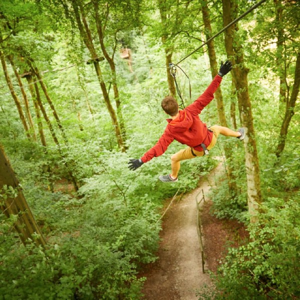 Go Ape  featured image.