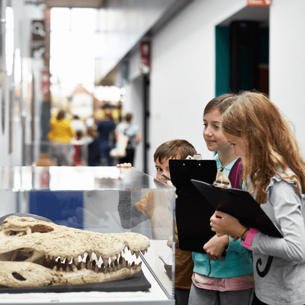 Leeds Discovery Centre featured image.