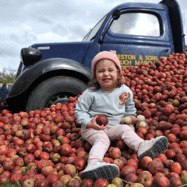 Malvern Autumn Show featured image.