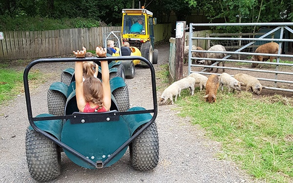 Reddish Vale Farm  featured image.