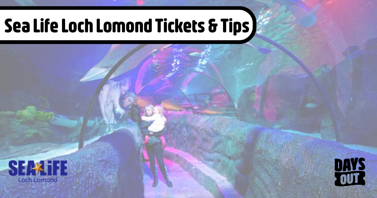 SEA LIFE Loch Lomond Tickets &amp; Tips | Days Out