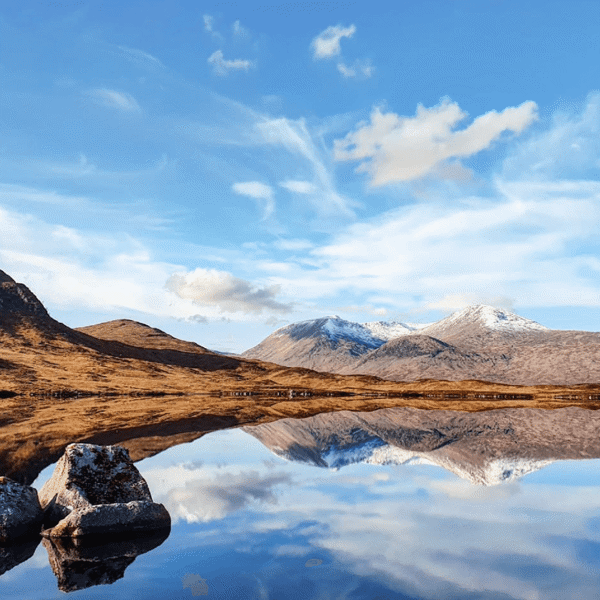 Tartan Viking featured image.