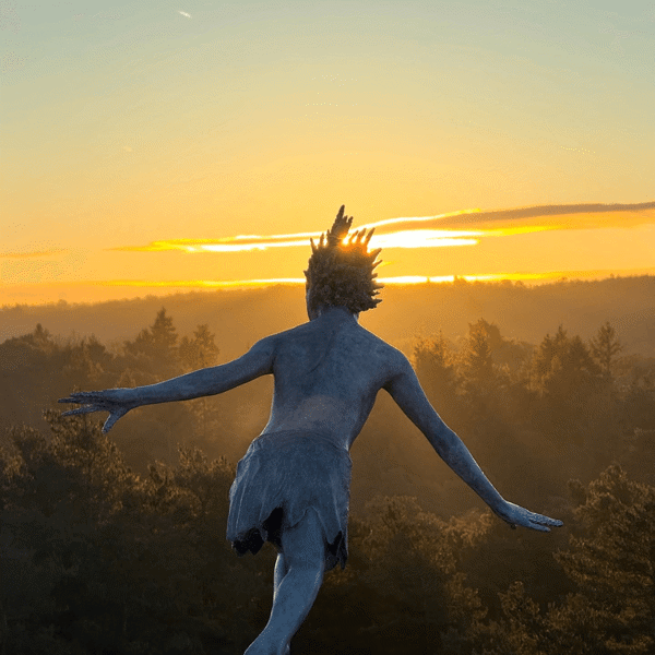 The Sculpture Park featured image.