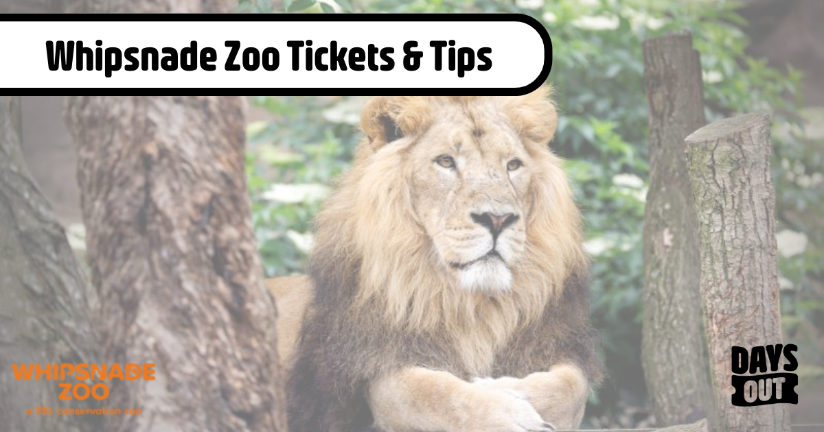 Whipsnade Zoo Tickets Tips Days Out whipsnade-zoo-tickets-tips-days-out