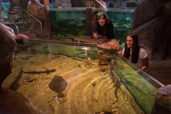 Blue Planet Aquarium featured image.