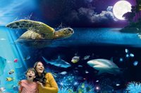 Brighton Aquarium logo