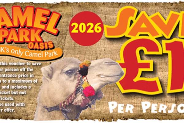 Camel Park Oasis featured image.