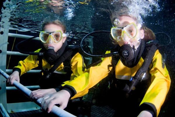 Deep Sea World featured image.