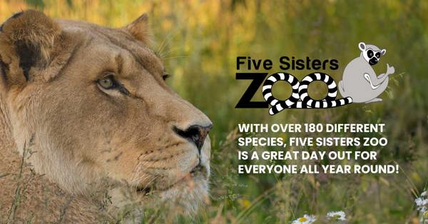 Five Sisters Zoo Park featured image.