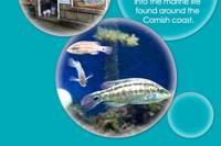 Fowey Aquarium logo