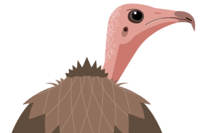 Gauntlet Birds of Prey logo