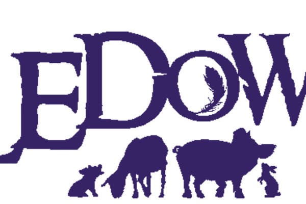 Hobbledown featured image.