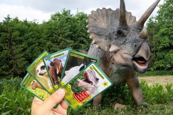 Hoo Zoo & Dinosaur World featured image.