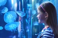 London Aquarium logo
