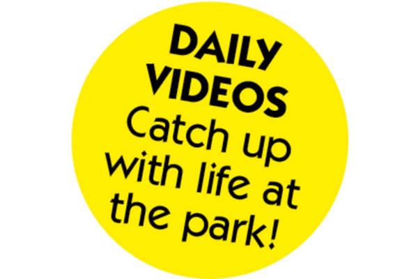 Monkey World featured image.