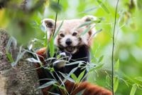 Newquay Zoo logo