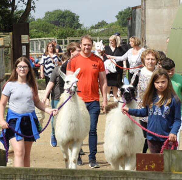 Oasis Camel Park featured image.