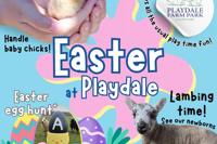 Playdale Farm Park logo