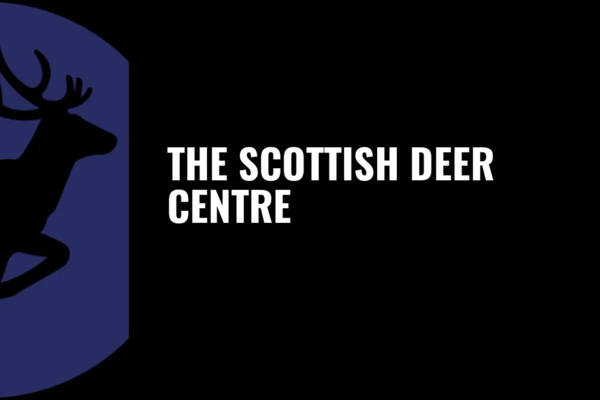 Scottish Deer Centre featured image.