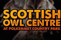 Scottish Owl Centre logo