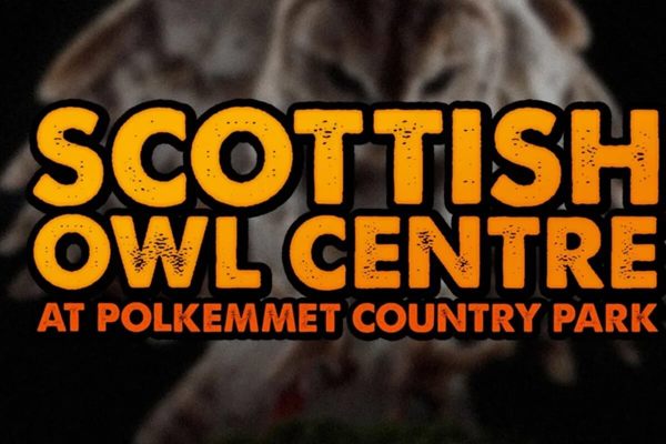 Scottish Owl Centre featured image.