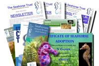 Seahorses logo