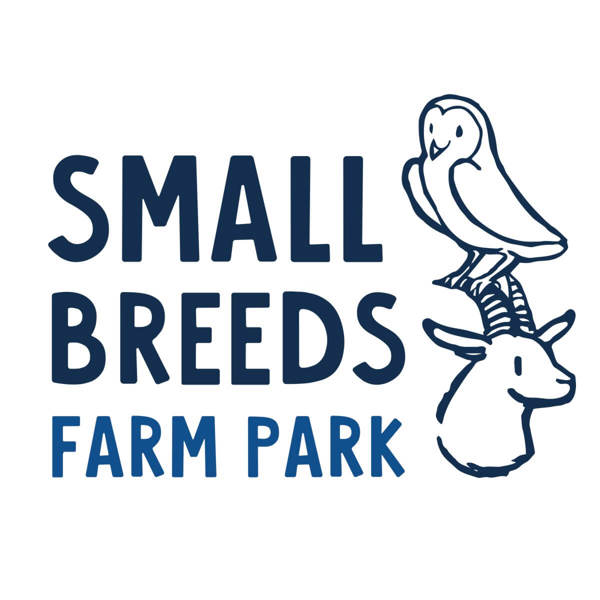 Small Breeds Farm Park featured image.