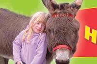 The Tamar Valley Donkey Park logo