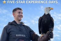 Thirsk Birds of Prey Centre logo